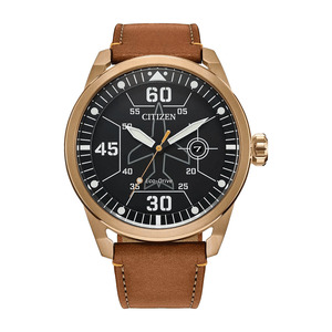 Citizen Eco-Drive Aviator Style Watch (Gold) $189 Delivered @ Starbuy