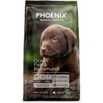 50% off Phoenix Grain Free Puppy Large Dry Dog Food 3kg $22.98 + Delivery ($0 NSW C&C/ Order over $49/ $89/ $99) @ iPetStore