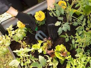 Arlec 150m Battery Operated Wireless Door Chime $9.98 (In-Store Only) @ Bunnings