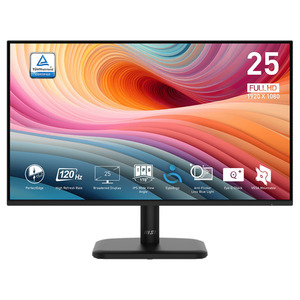 MSI PRO MP251L E2 24.5" 120Hz Full HD 1ms Adaptive Sync IPS Monitor $89.30 @ M Wave (excludes shipping costs)