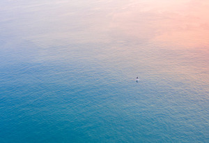 Domestic Flights Sale (Fly 15/4 - 25/6): e.g. Sydney to Ballina Byron One Way: Econ. Lite $49, Business $219 @ Virgin Australia