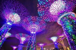 Singapore Airlines Direct Rtn to Singapore Ex PER $495, DRW $520, MEL $703, SYD $711, CNS $731, BNE & ADL $756 (Jan-Dec) @ BTF