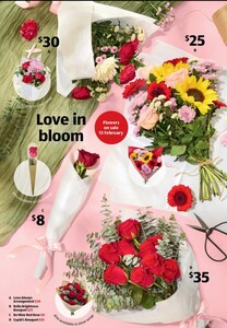 One Dozen Red Roses For $35 | A Single Red Rose For $8 @ ALDI Special Buys