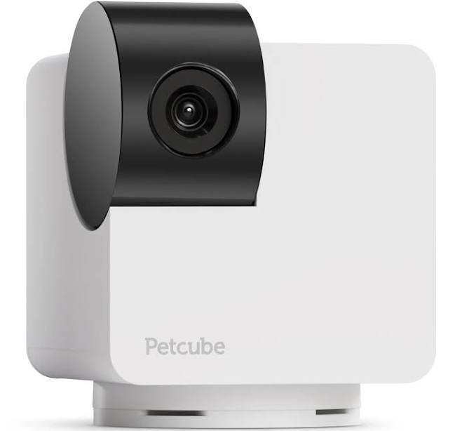Petcube Cam 360