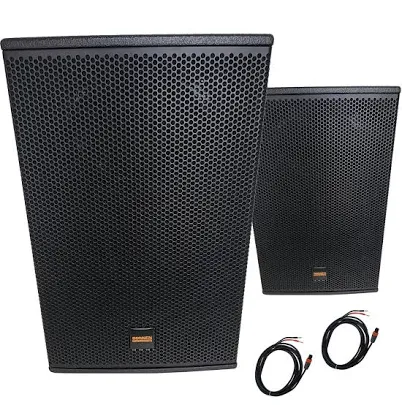 Sonken Home Karaoke Studio Package Deal (SA-767 Amp + MSR-1210 (12") Speakers + WM-4000D Wireless Mics)