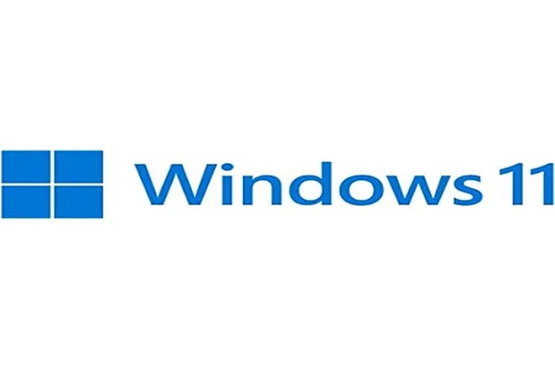 Microsoft Windows 11 Pro ESD